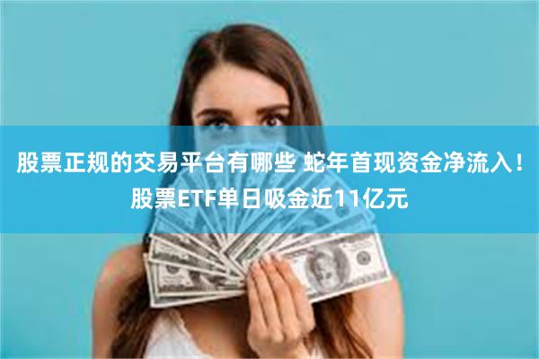 股票正规的交易平台有哪些 蛇年首现资金净流入！股票ETF单日吸金近11亿元